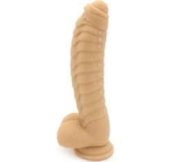 Cox Dildo Stimulant Flesh Ventouse Silicone 22 X 5 Cm